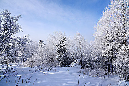 中国雪乡,羊草山