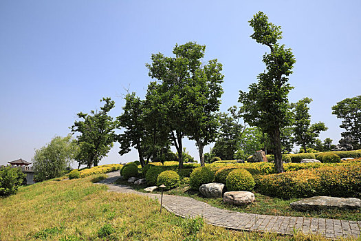 南京银杏湖园林景观