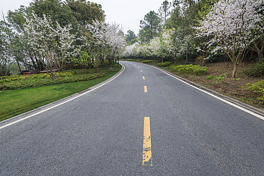 南京,景区,道路,汽车,背景