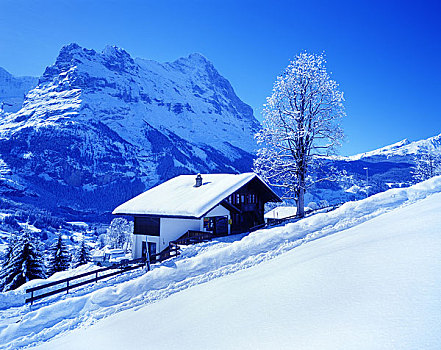 艾格尔峰,山峦,房子,冬天
