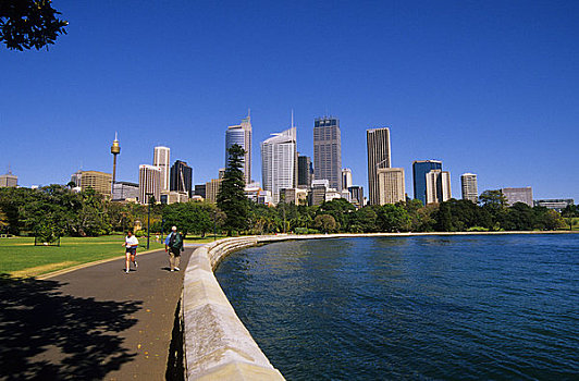 澳大利亚,悉尼,皇家,植物园,背景,人,走,水岸