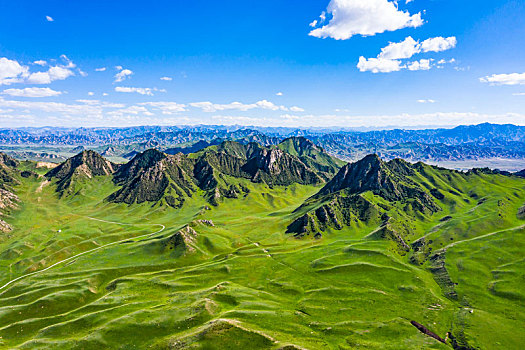 青海海西,都兰花海,都兰海寺花海,风光航拍,风光摄影,风景摄影