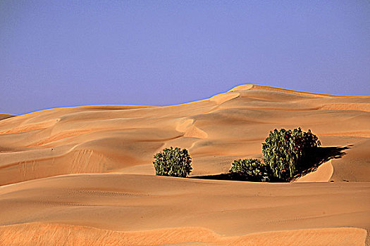 塞内加尔,沙漠,沙丘