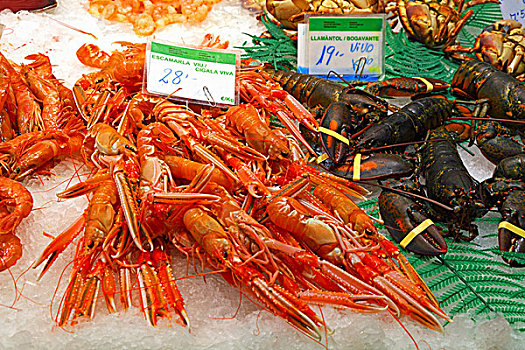 挪威海蛰虾,龙虾,市场,巴塞罗那,西班牙