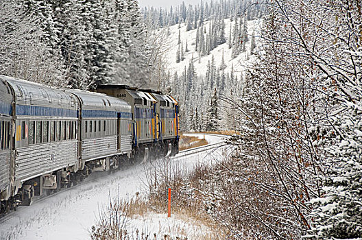 加拿大,艾伯塔省,轨道,雪,列车,埃德蒙顿