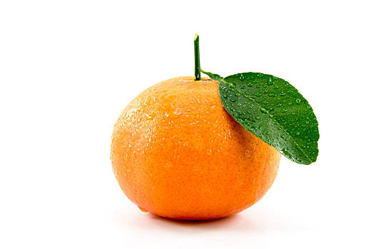 桔子图片_桔子图片大全_桔子图片素材
