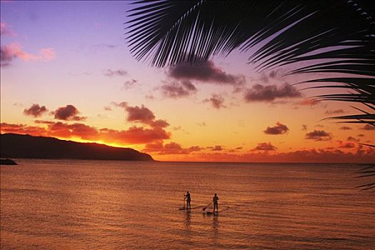 夏威夷,瓦胡岛,北岸,站立,涉水,日落
