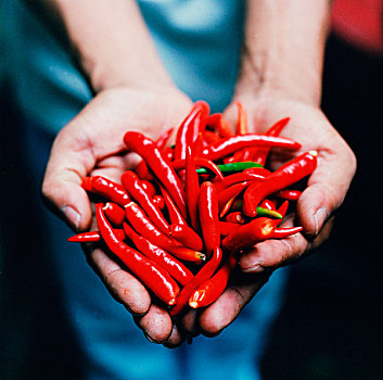 红色,辣椒,出售,市场