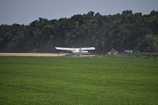 肥料,杀虫剂,地点,飞机