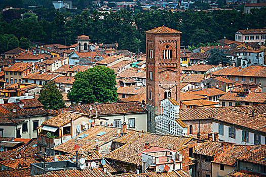 卢卡,钟楼,俯视,意大利