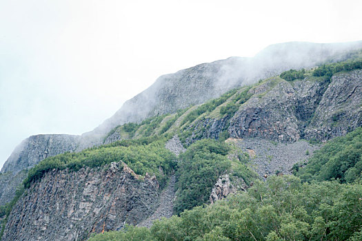 长白山森林