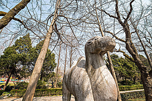 南京明孝陵景区古代雕塑