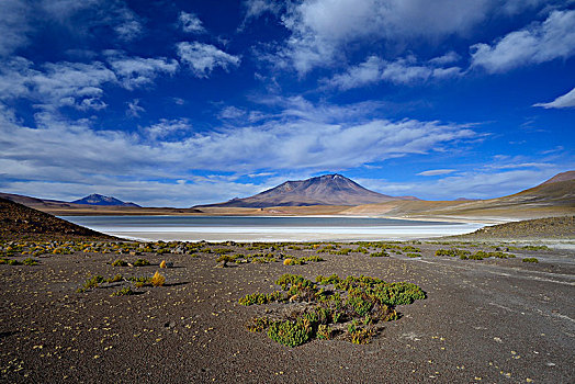特色,风景,泻湖,路线,省,波托西地区,玻利维亚,南美