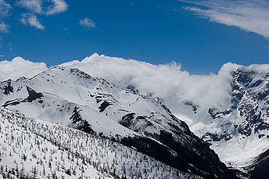 白马雪山