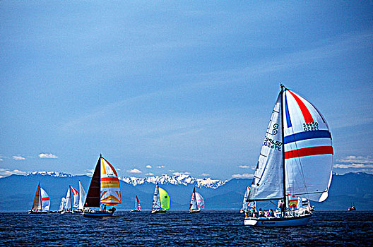 帆船赛,大三角帆,开端,维多利亚,温哥华岛,不列颠哥伦比亚省,加拿大