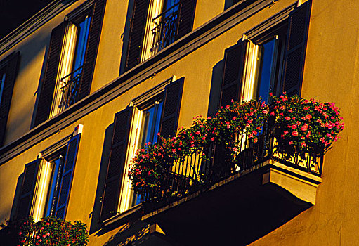 欧洲,意大利,米兰,花箱,窗户,建筑