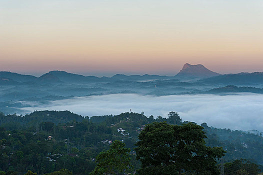黎明,雾,曙光,风景,俯视,中部高地,康提,中央省,斯里兰卡,亚洲