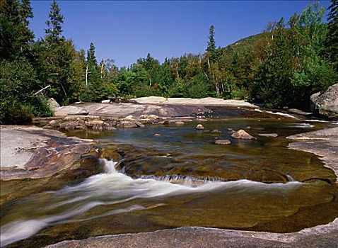 河流,州立公园,缅因,美国