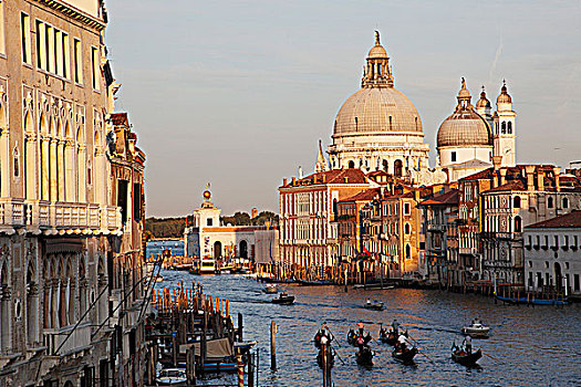 意大利,威尼斯,圣马利亚,行礼,教堂,大运河,小船