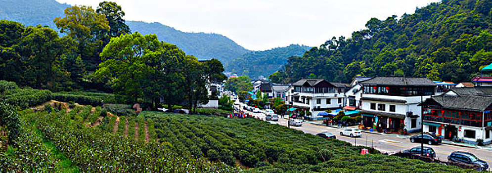 西湖茶乡,梅家坞