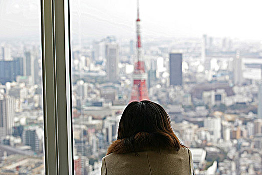 游客,观测,山,东京,日本