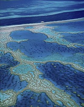 大堡礁,澳大利亚