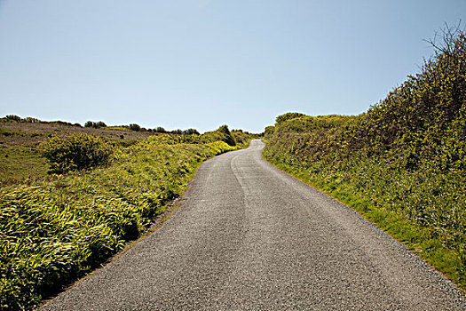 乡村道路,康沃尔,英格兰,英国