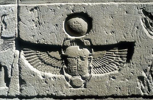 石灰石,浮雕,金龟子,秃鹰,翼,光盘,太阳,伊迪芙,埃及,艺术家,未知