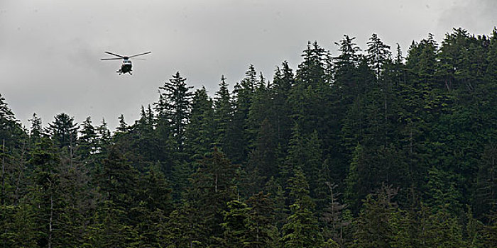 直升飞机,飞跃,树林,地区性,地区,岛屿,不列颠哥伦比亚省,加拿大