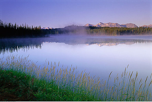 薄雾,上方,湖,靠近,阿特林,不列颠哥伦比亚省,加拿大