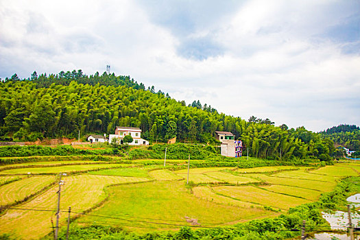 艳阳天下的中国乡村自然风貌