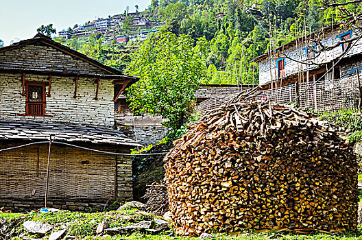 特色,房子,木质,一堆,安娜普纳地区,尼泊尔,亚洲