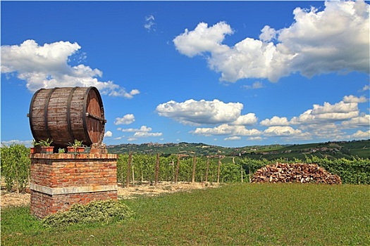 大,木质,葡萄酒桶,葡萄园,蓝天,白云,春天,意大利北部