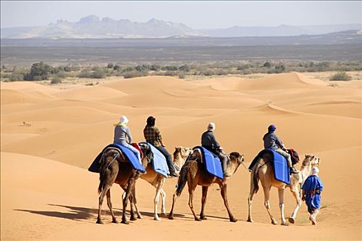 游客,骆驼,一个,上方,沙丘,却比沙丘,梅如卡,摩洛哥
