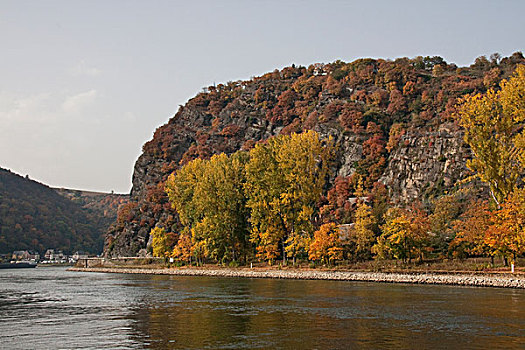 石头,莱茵河,河,莱茵兰普法尔茨州,德国