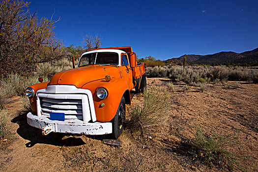 加利福尼亚,旧式,橙色,老,卡车