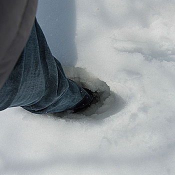 人,站立,大雪,赫克拉火山磨石省立公园,曼尼托巴,加拿大