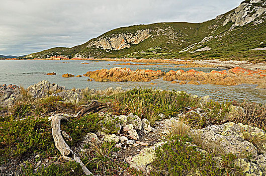 岩石,岬角,国家公园,塔斯马尼亚,澳大利亚