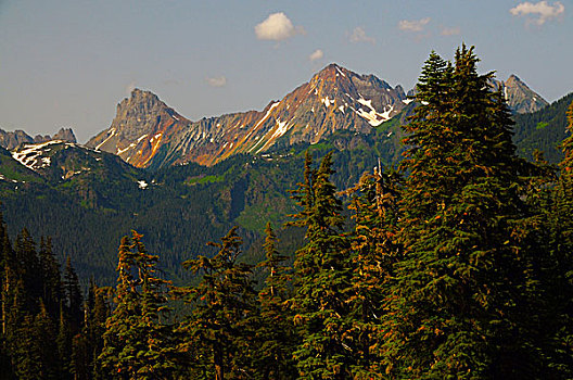 山,边界,顶峰,石南花,草地,中心,攀升,华盛顿,美国,北瀑布国家公园