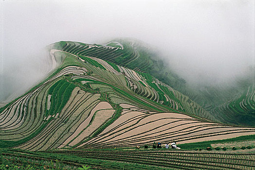 广西龙胜县梯田