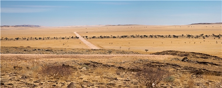纳米布沙漠