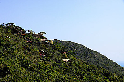 海南省三亚市热带天堂森林公园风光