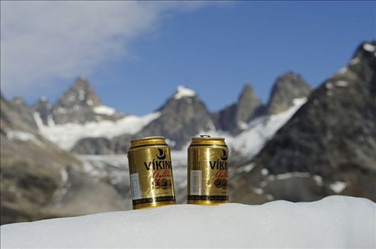 罐,啤酒,冰山,格陵兰