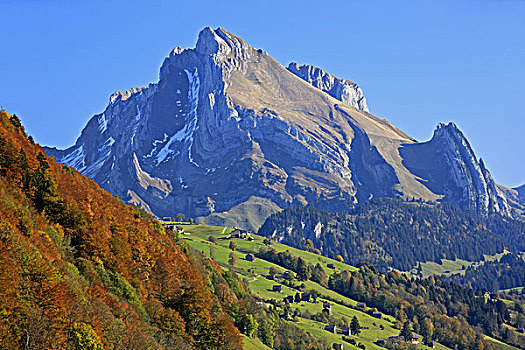 瑞士,阿尔卑斯山,阿彭策尔,高山,石头,山丘
