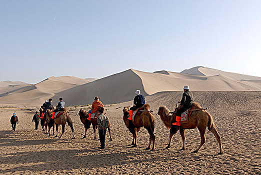 骆驼,驼队,游客,正面,沙子,沙丘,戈壁,沙漠,名山,靠近,敦煌,丝绸之路,甘肃,亚洲