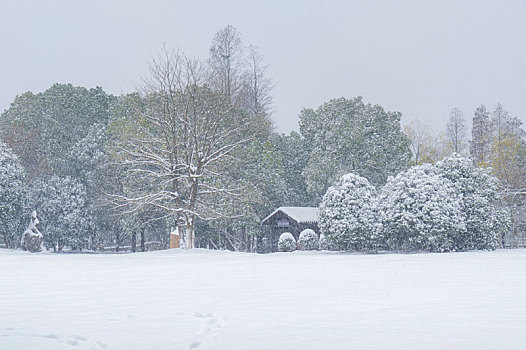 武汉东湖园林雪景