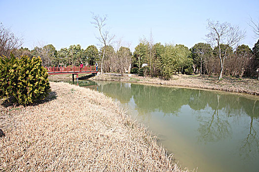 新四军,纪念馆,黄花塘,历史,文物,驻地,战争年代,草房,窗户,土墙