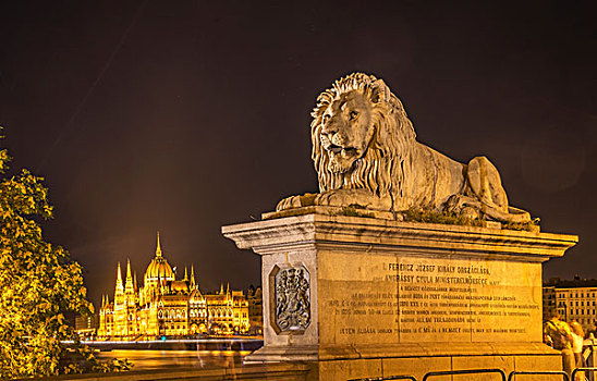 狮子,雕塑,链索桥,议会,背景,夜晚,匈牙利,布达佩斯