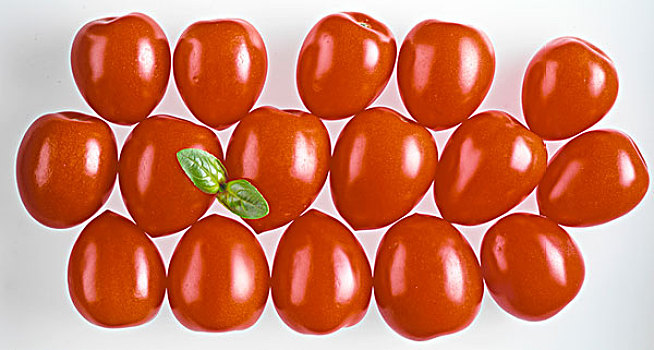 意大利,犁形番茄
