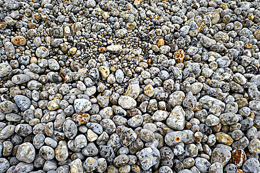 石头,海岸,埃特塔尔,上诺曼底,法国